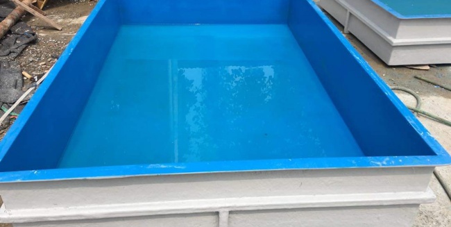 Hồ Cá Composite TPHCM